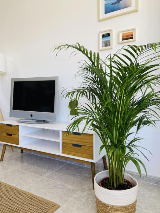 Alterhome Luminoso Estudio Con Piscina Y Maravillosas Vistas ตอร์เรโมลิโนส ภายนอก รูปภาพ